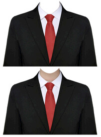 红领带女西装着正装衣服素材