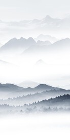 人气 大气高档玄关 TiF分层