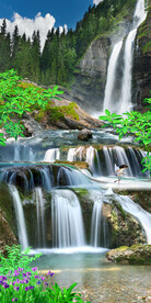 流水生财风景玄关