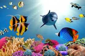 海底世界 部分分层