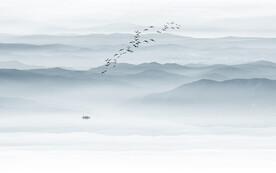 公司前台山水画背景墙