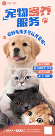 宠物寄养海报