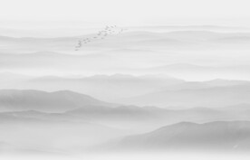 新中式电视背景墙