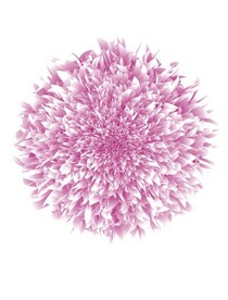 原创个人练习牡丹花矢量素材