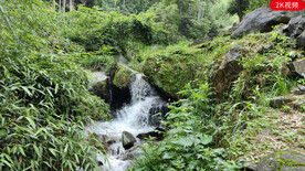 山间流水视频