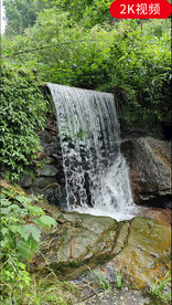 竖版溪水流水视频