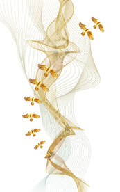 轻奢抽象简约线条