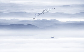 新中式电视背景墙