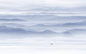 现代简约中式背景墙