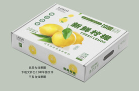 柠檬包装 柠檬礼盒