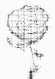 玫瑰花半调圆点隔断