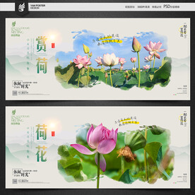 赏荷花