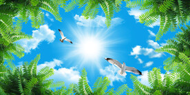 蓝天白云天顶画