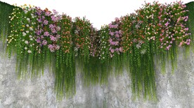 绿植花墙