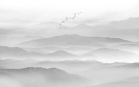 水墨画