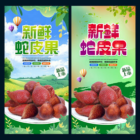 蛇皮果