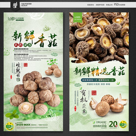 香菇