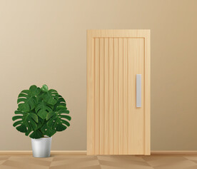 榉木纹理木门模型