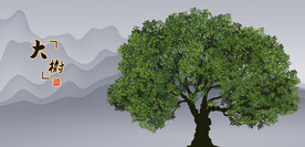 大树