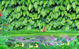 绿色树叶草地大自然风景背景墙