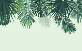 芭蕉叶植物装饰背景墙