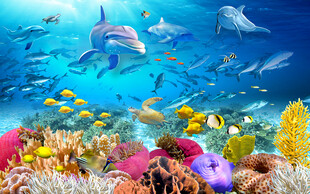 海洋生物海底世界电视背景墙