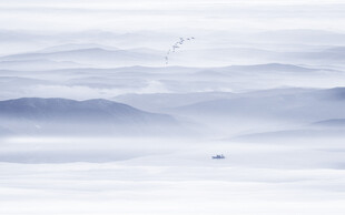 新中式意境水墨画