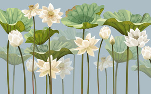 中式荷花背景墙