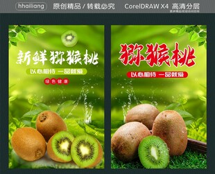 猕猴桃海报