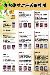 九大体质对应舌形挂图