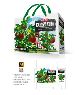 铁皮西红柿包装
