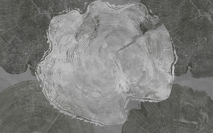 年轮木轮灰色电视沙发背景墙