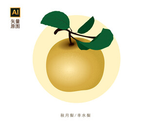 秋月梨素材