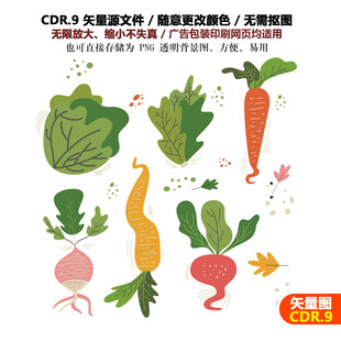 手绘蔬菜胡萝卜果蔬包菜矢量图