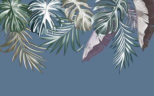 热带植物叶子蓝色清新背景墙