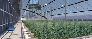 农业种植大棚内部设计案例效果图