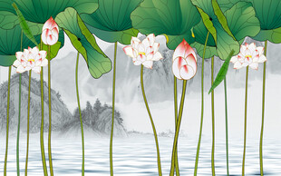中式荷花背景墙
