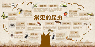 常见的昆虫