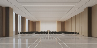 大会议室效果图