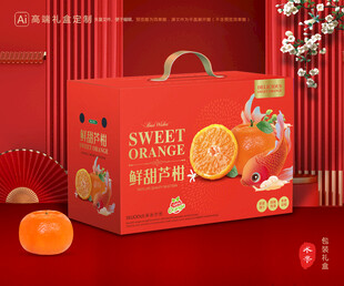 芦柑包装 椪柑礼盒
