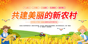 共建美丽新农村展板