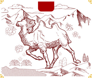 矢量插画骆驼