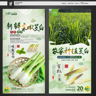 茭白