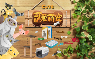 宠物店工装背景墙