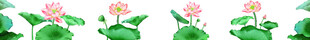 荷花免抠图