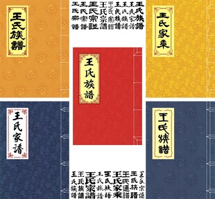 王氏家谱封面