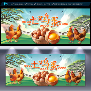 土鸡蛋海报