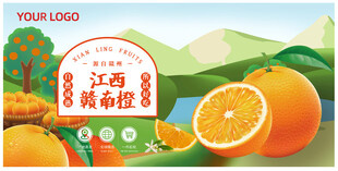 江西赣南橙包装