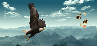 鹰飞鹰老鹰