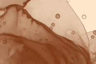 褐色梦幻水彩矢量背景